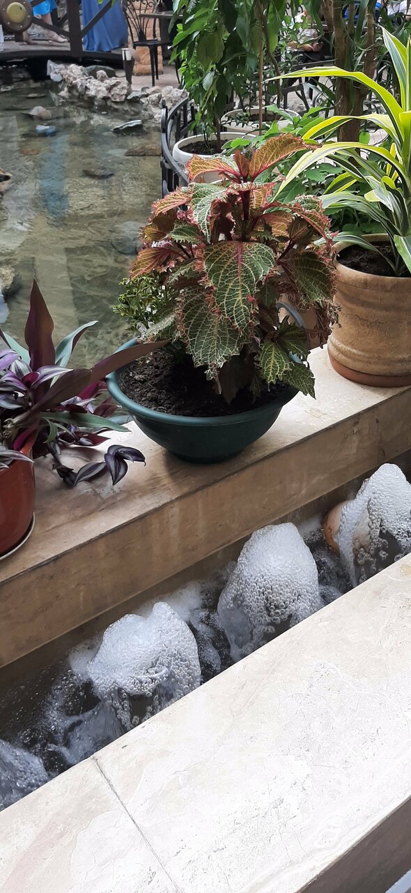 Гостиница Троя Краснодар-76