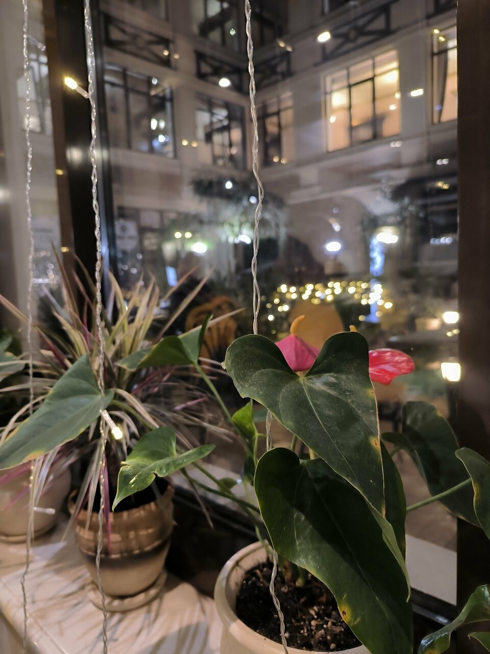 Гостиница Троя Краснодар-150