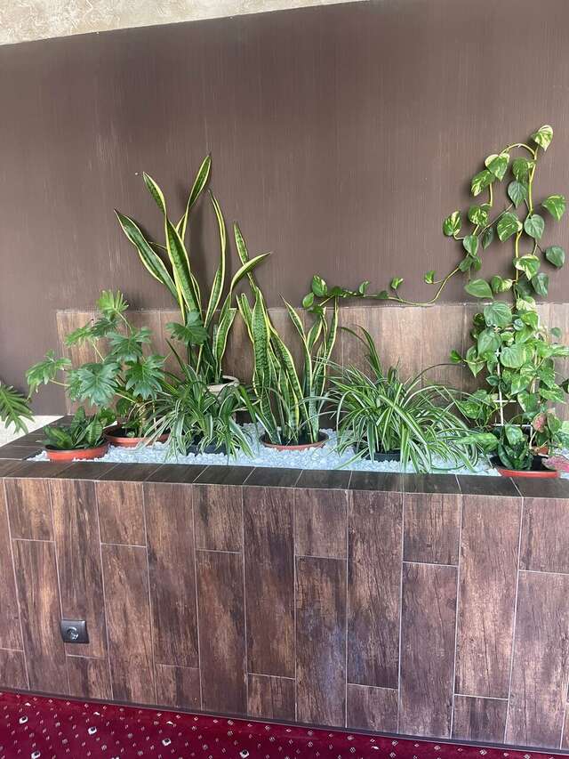 Гостиница Троя Краснодар-61