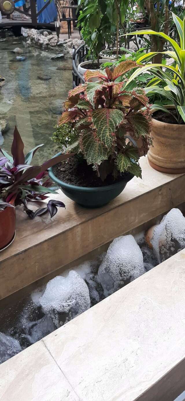 Гостиница Троя Краснодар-75